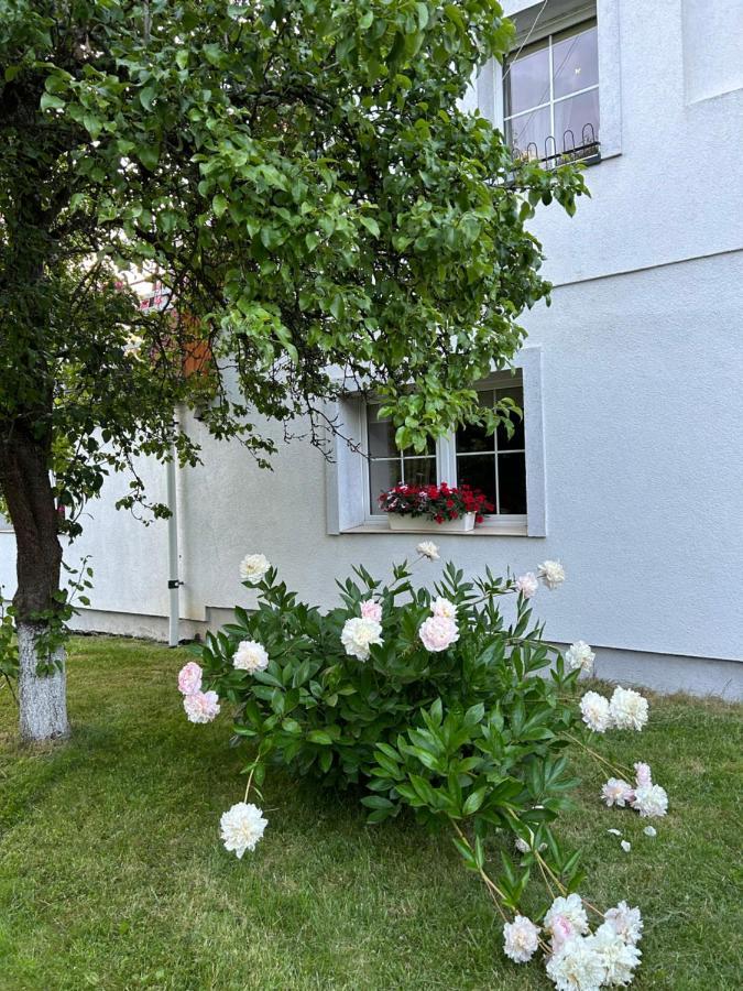 Apartamenty Stokrotka Lądek-Zdrój Exterior foto