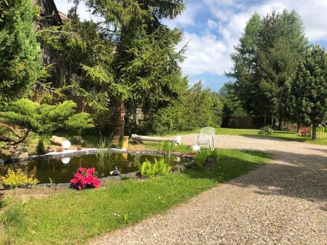 Apartamenty Stokrotka Lądek-Zdrój Exterior foto